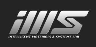 IMS Logo